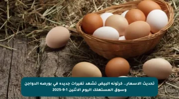 تحديث الأسعار.. كرتونة البيض تشهد تغيرات جديدة في بورصة الدواجن وسوق المستهلك اليوم الاثنين 1-9-2025